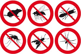 Riesgos vs. Solución