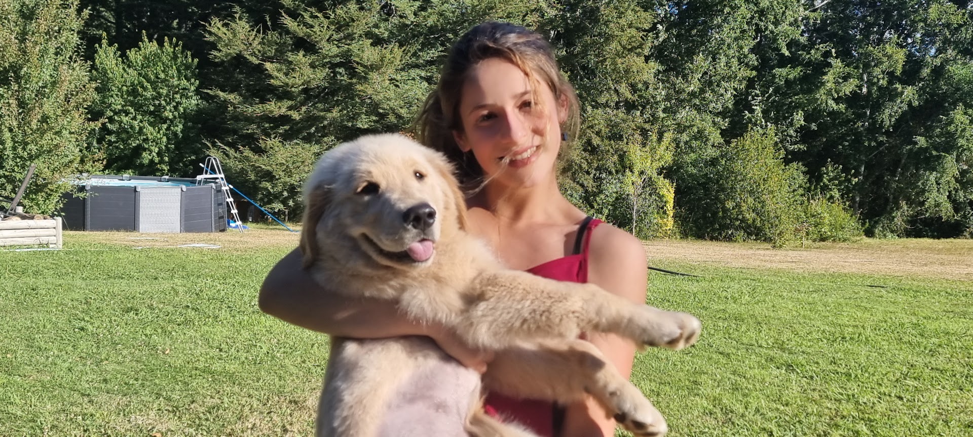 <font dir="auto" style="vertical-align: inherit;"><font dir="auto" style="vertical-align: inherit;">Cachorros Golden Retriever</font></font><br><div></div><div></div><div><font dir="auto" style="vertical-align: inherit;"><font dir="auto" style="vertical-align: inherit;">¡Muy pronto!</font></font></div>