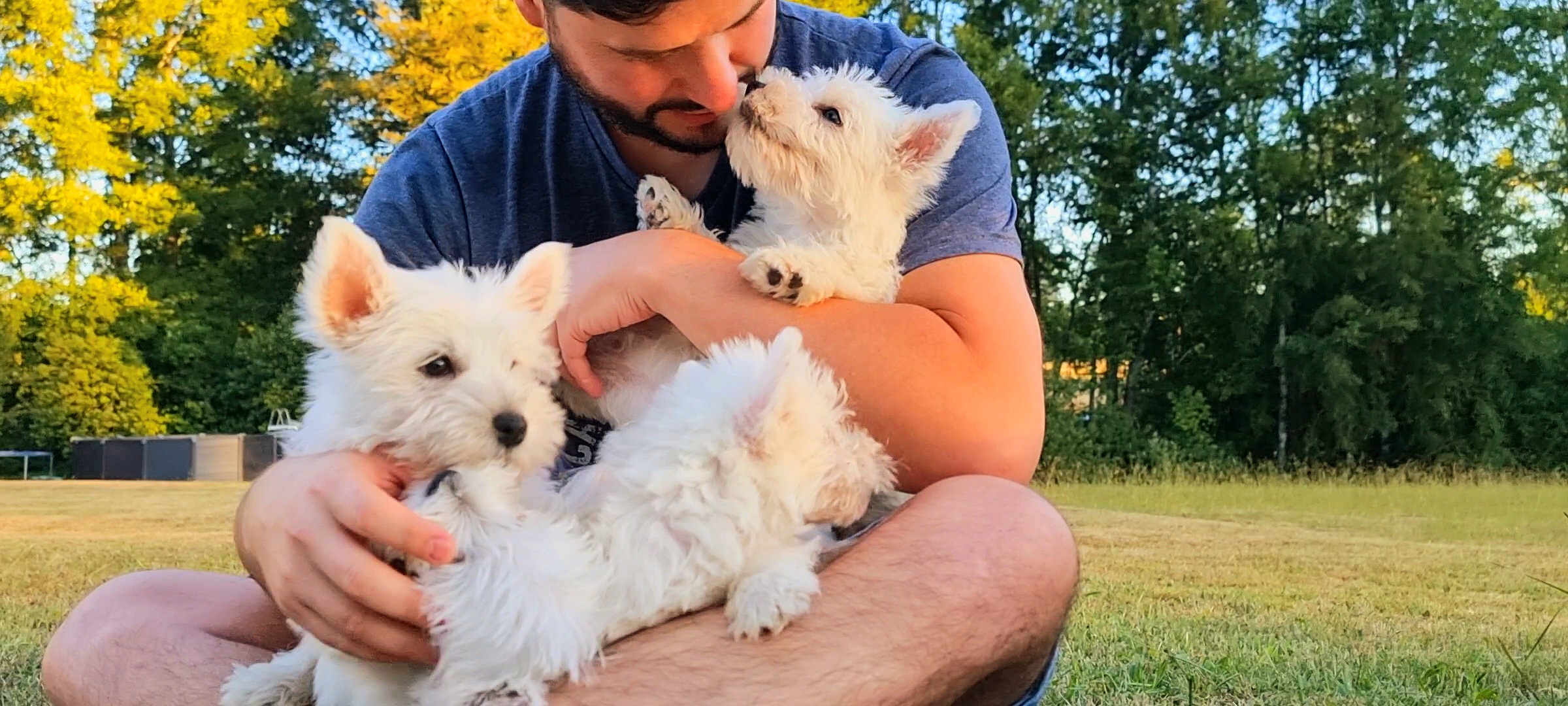 <font dir="auto" style="vertical-align: inherit;"><font dir="auto" style="vertical-align: inherit;">Hotel canino</font></font><br>
<font dir="auto" style="vertical-align: inherit;"><font dir="auto" style="vertical-align: inherit;">¡Muy pronto!</font></font><br>
<div></div>