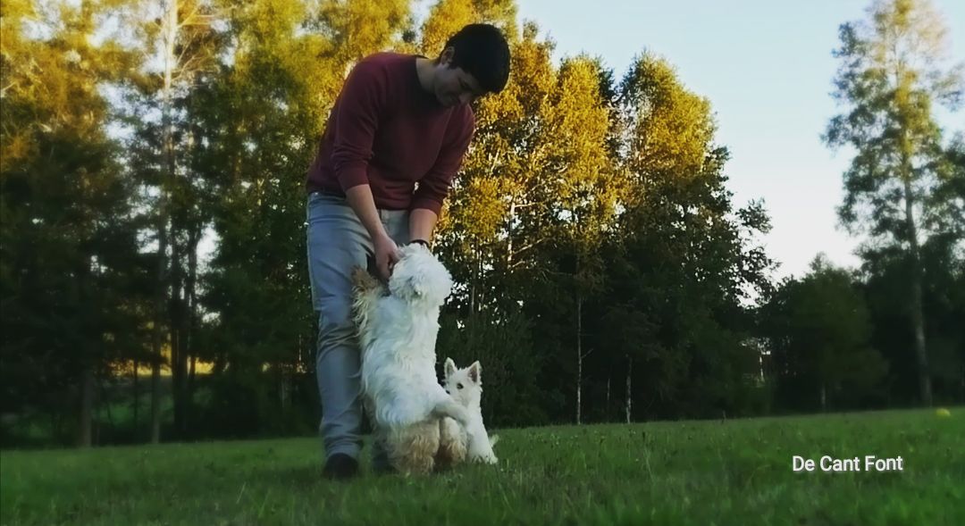 Cuidados y Recomedaciones<br>