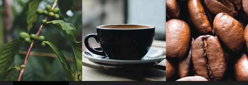 <b><i>Nos acomodamos a tus necesidades y volúmenes</i></b>