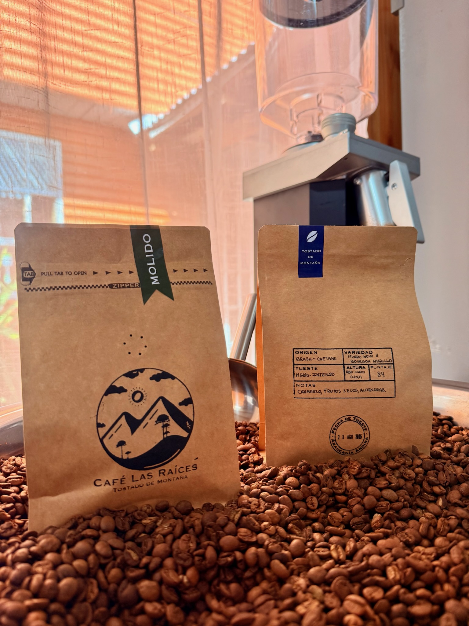 Descubre nuestros orígenes