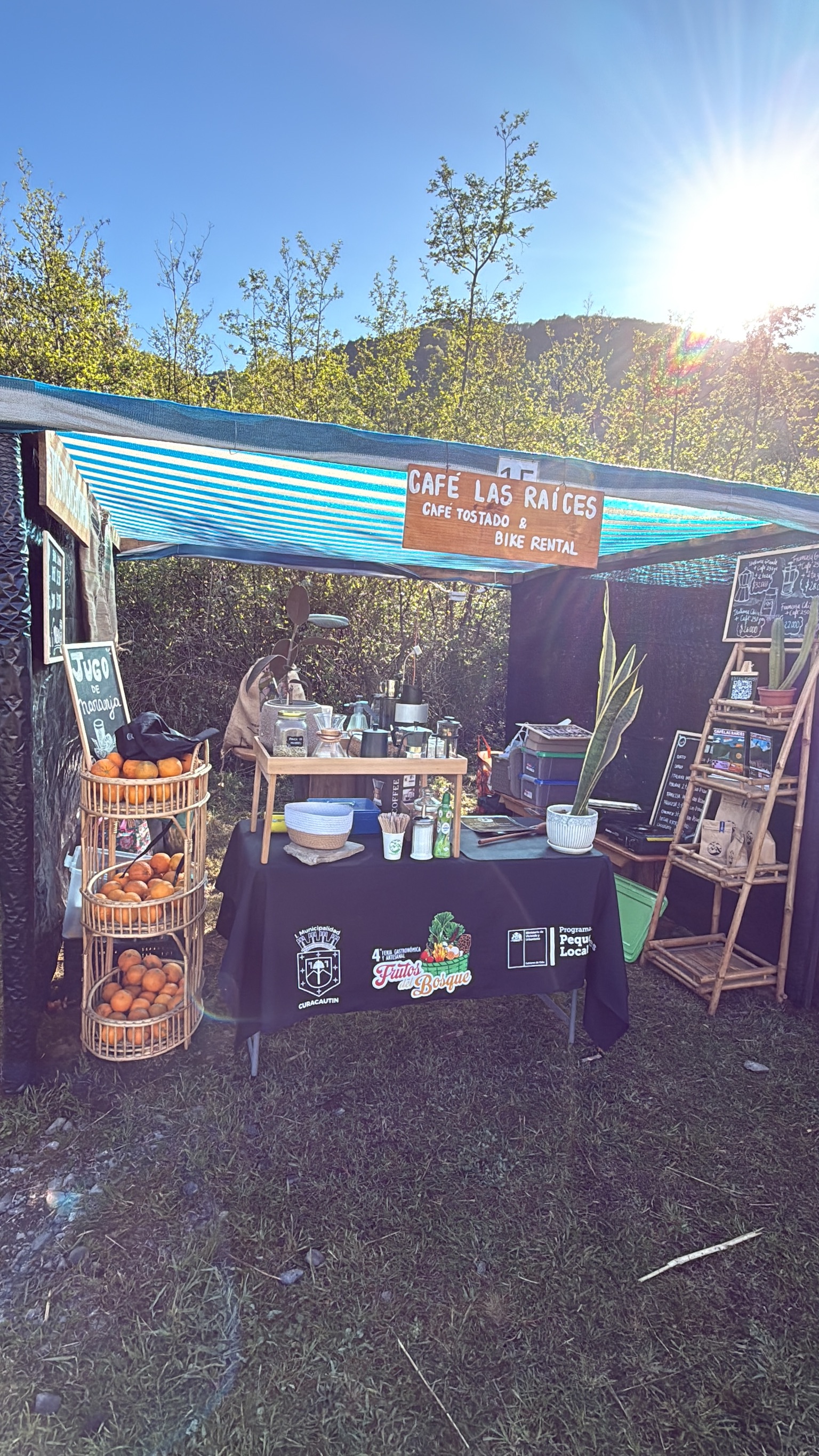 Emprendemos como familia entre volcanes y araucarias