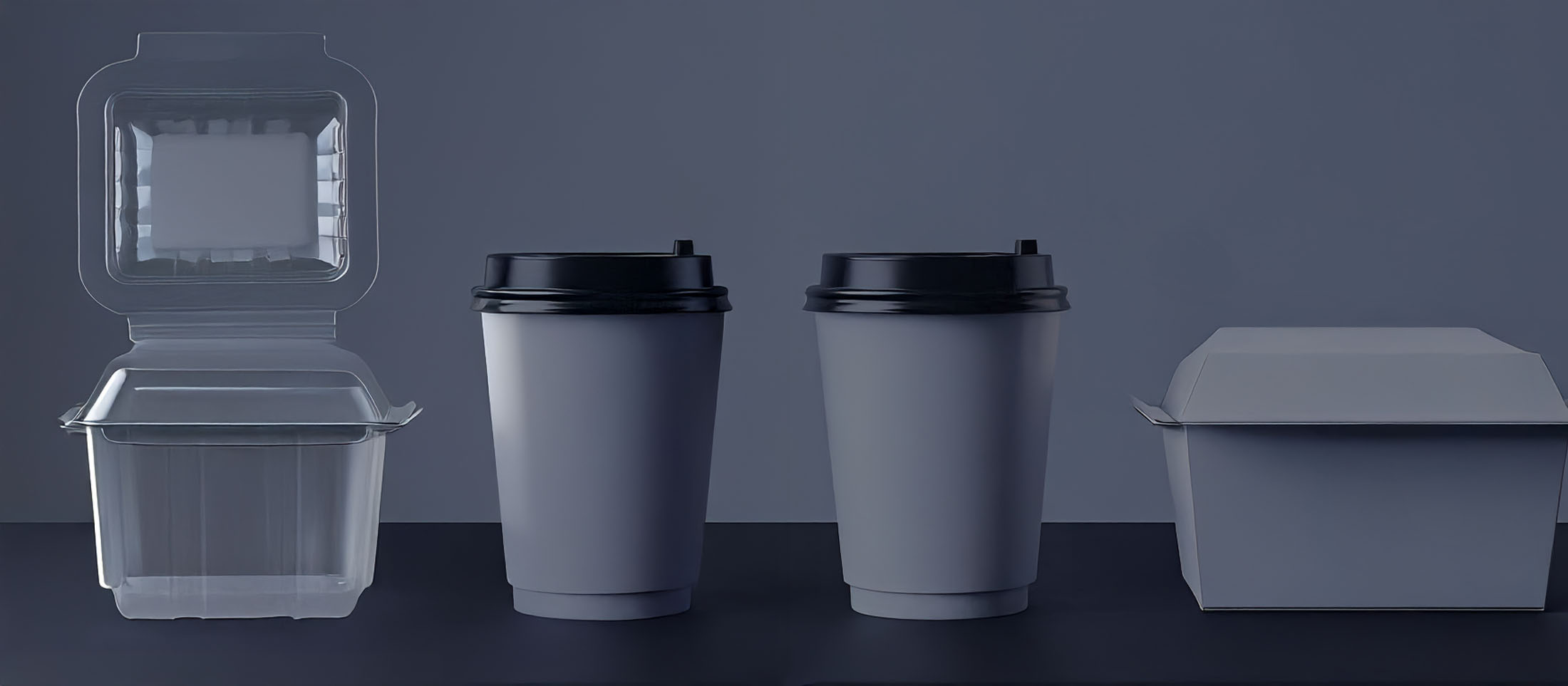 Conoce nuestras ofertas 