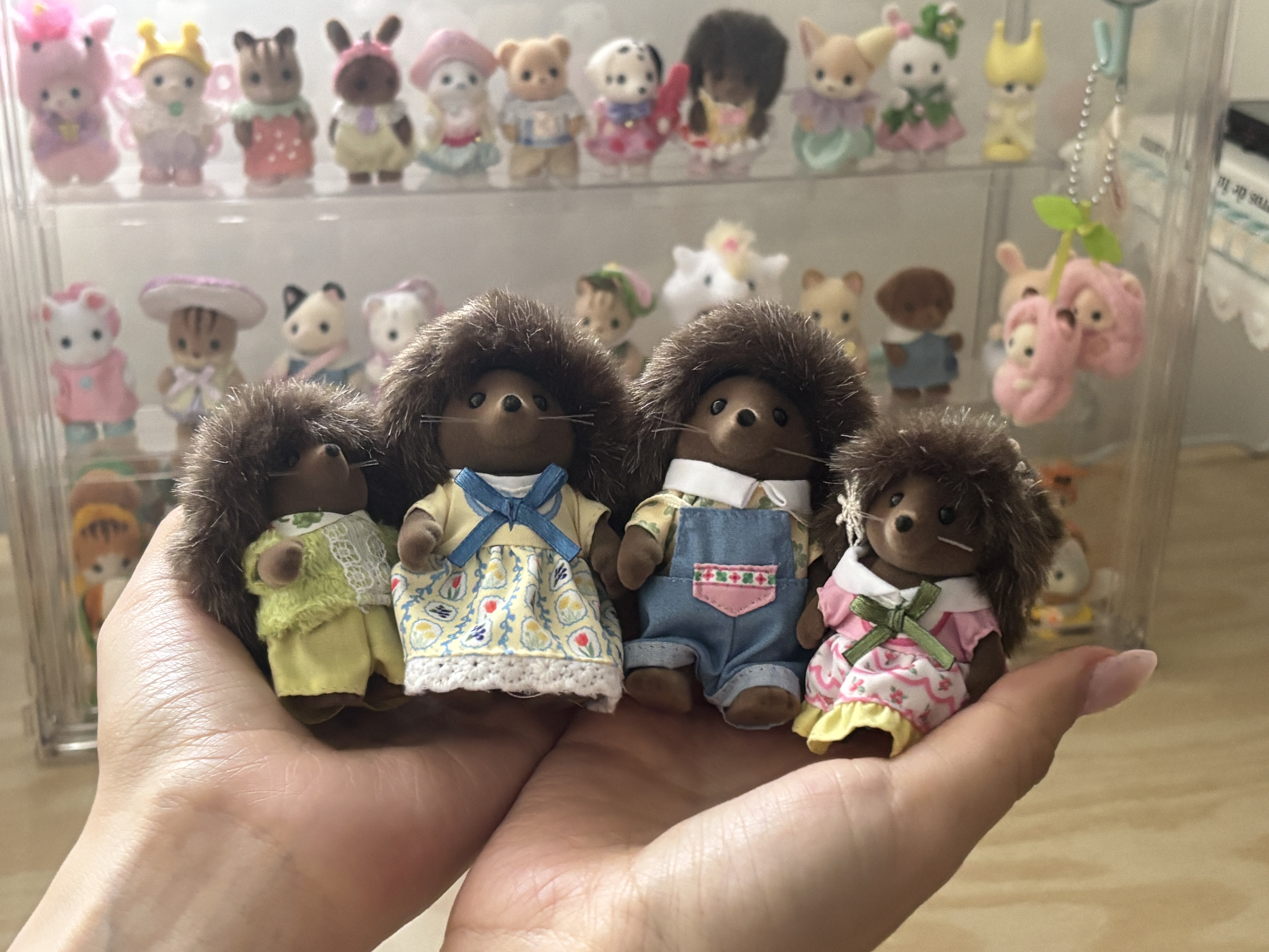 Desde Japón a tu hogar!