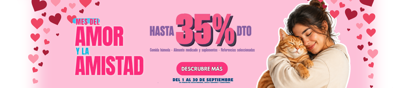 Título del Slide
