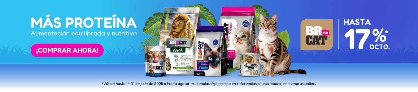 Catlike Store