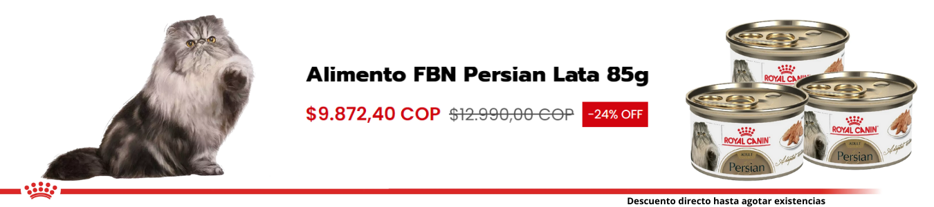 Título de la Sección
