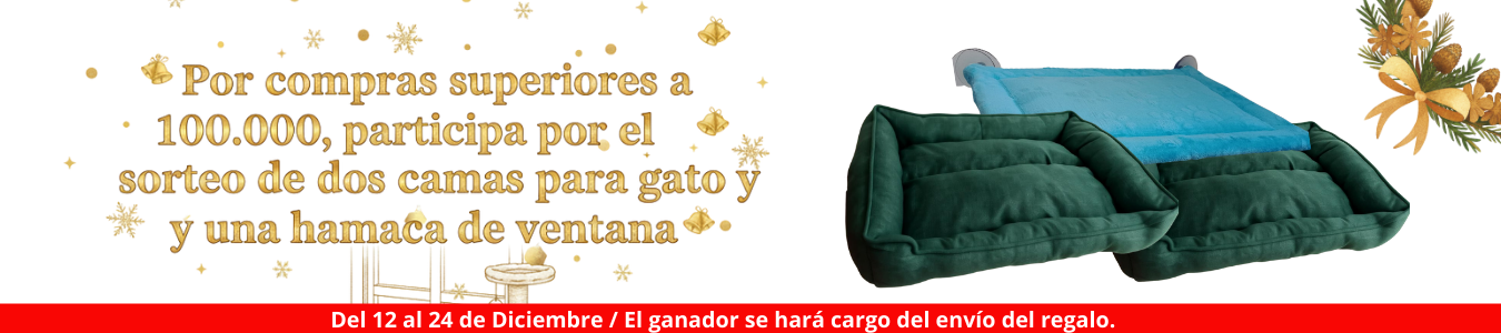 Título de la Sección