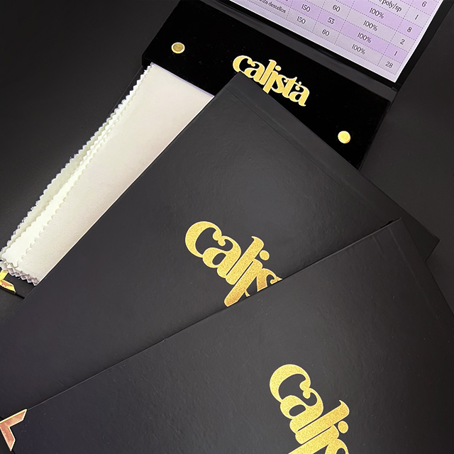 Quiénes son los Creadores Calista?