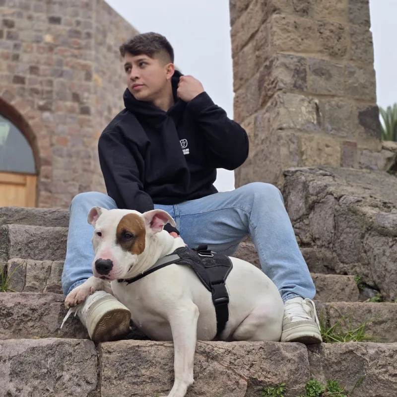 Tu nuevo hoodie favorito