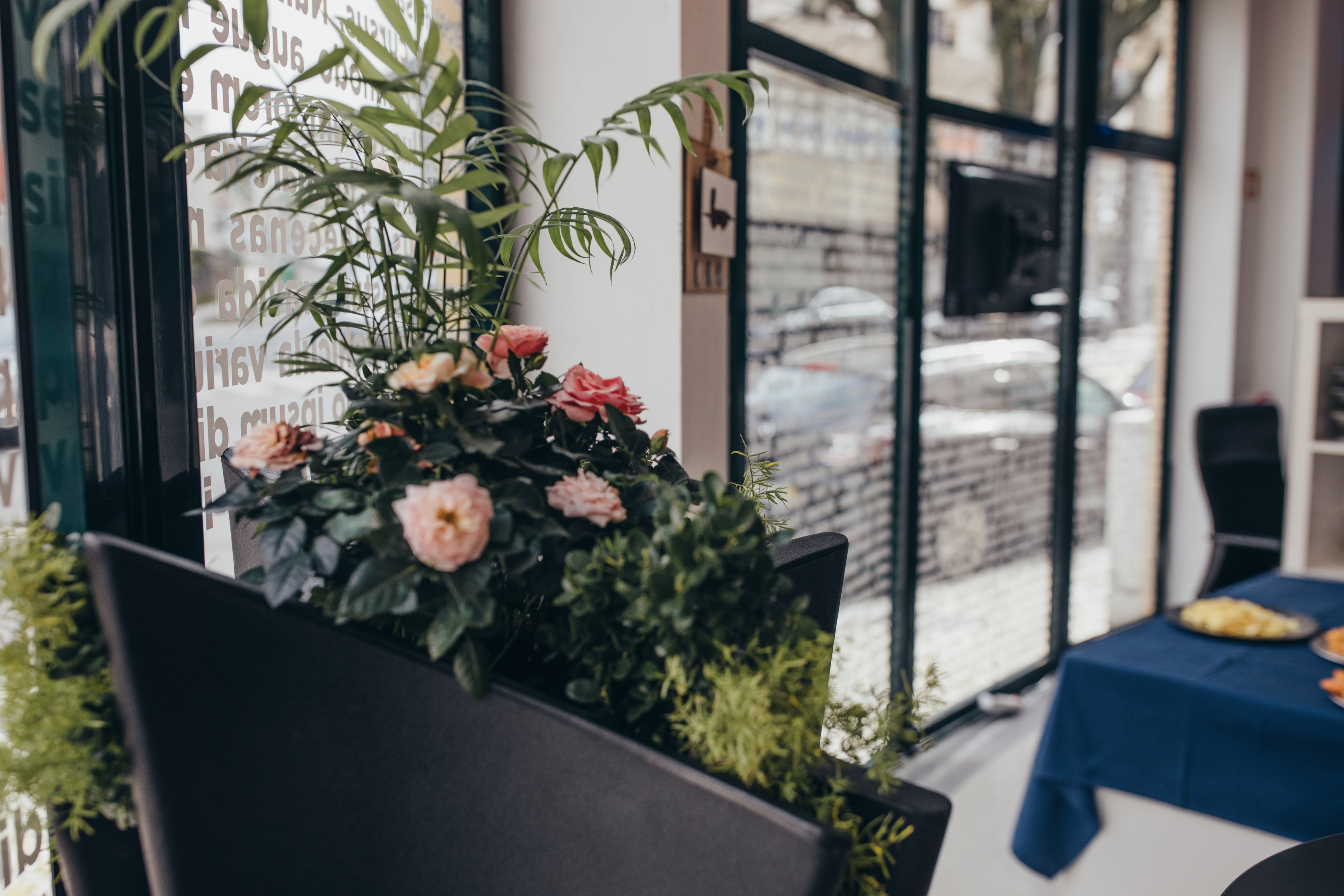 Coleção de têxtil