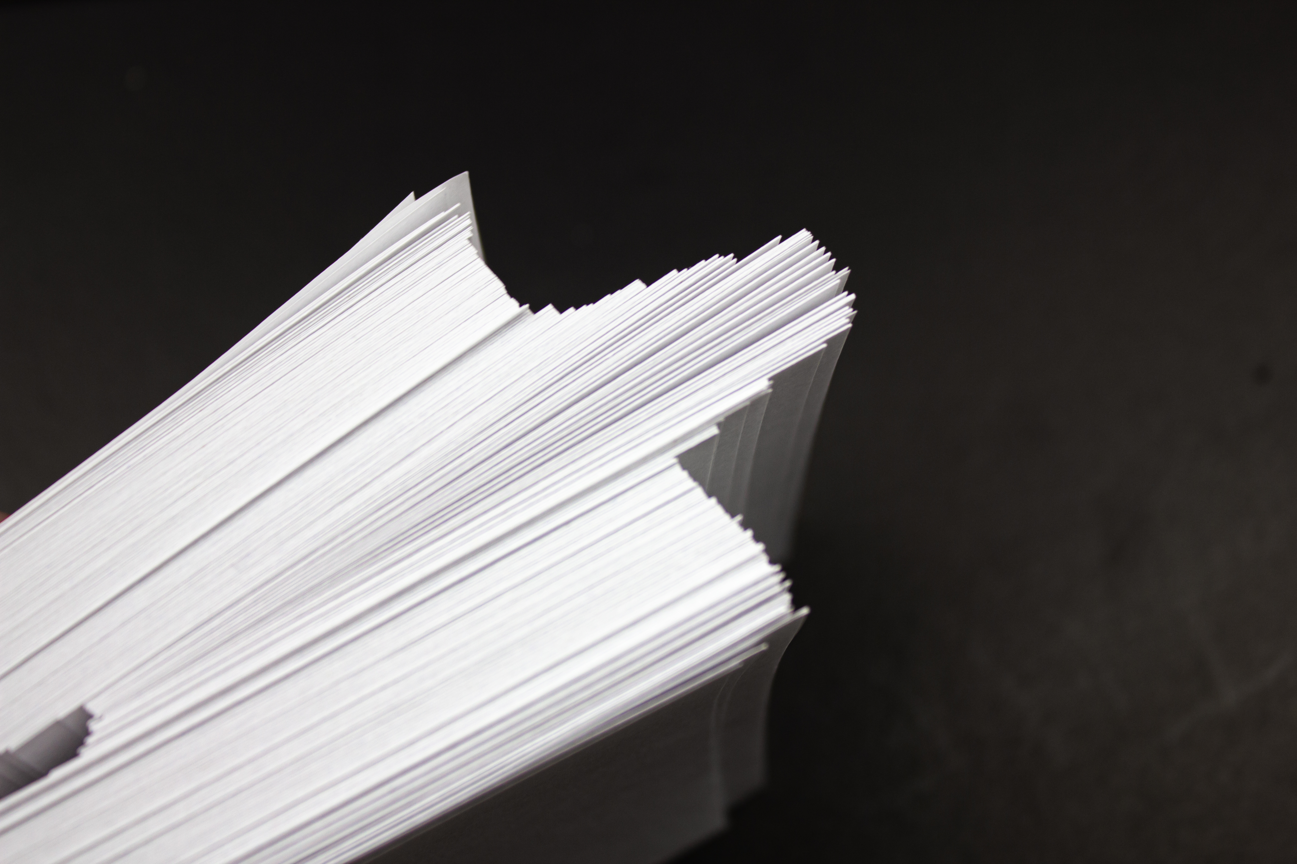 Kit de identidade visual