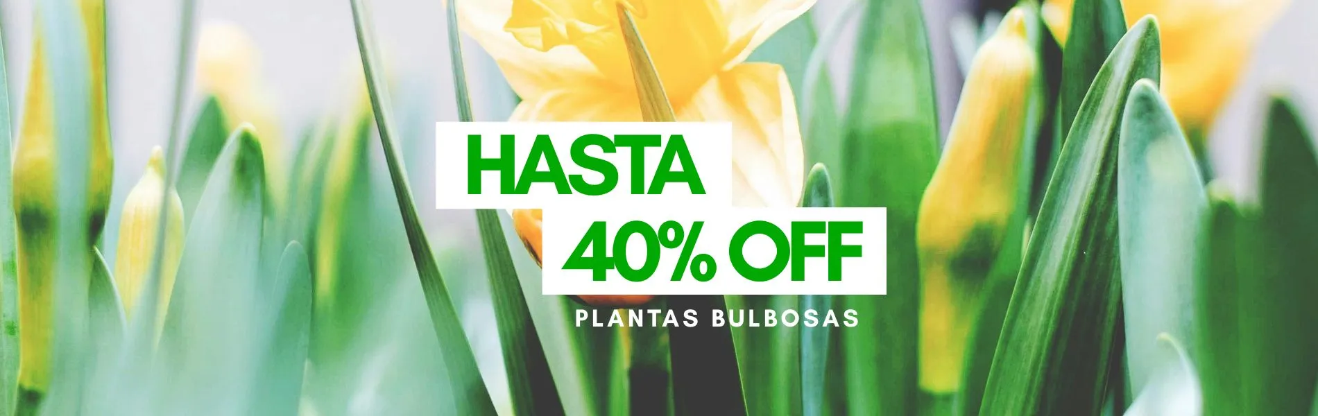 Ofertas de Otoño