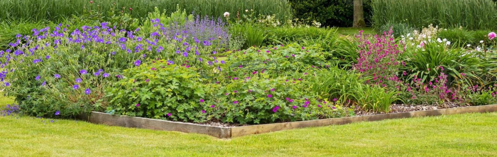 Título de la Sección