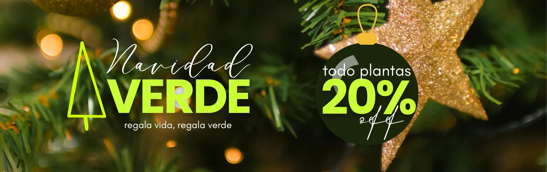 Camelia y Lavanda tu tienda online de plantas y jardín