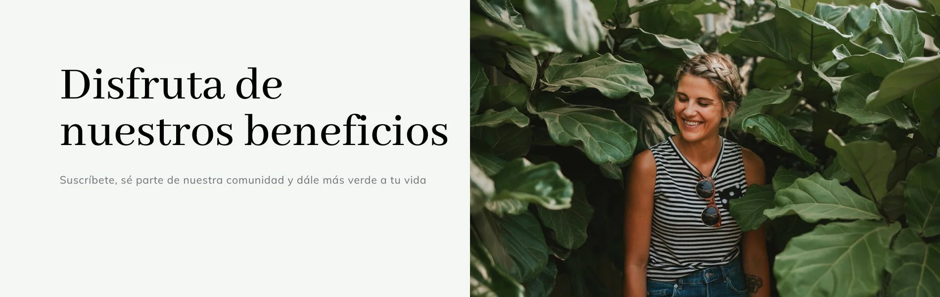 Título de la Sección