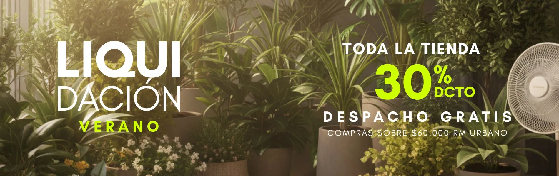 Camelia y Lavanda tu tienda online de plantas y jardín