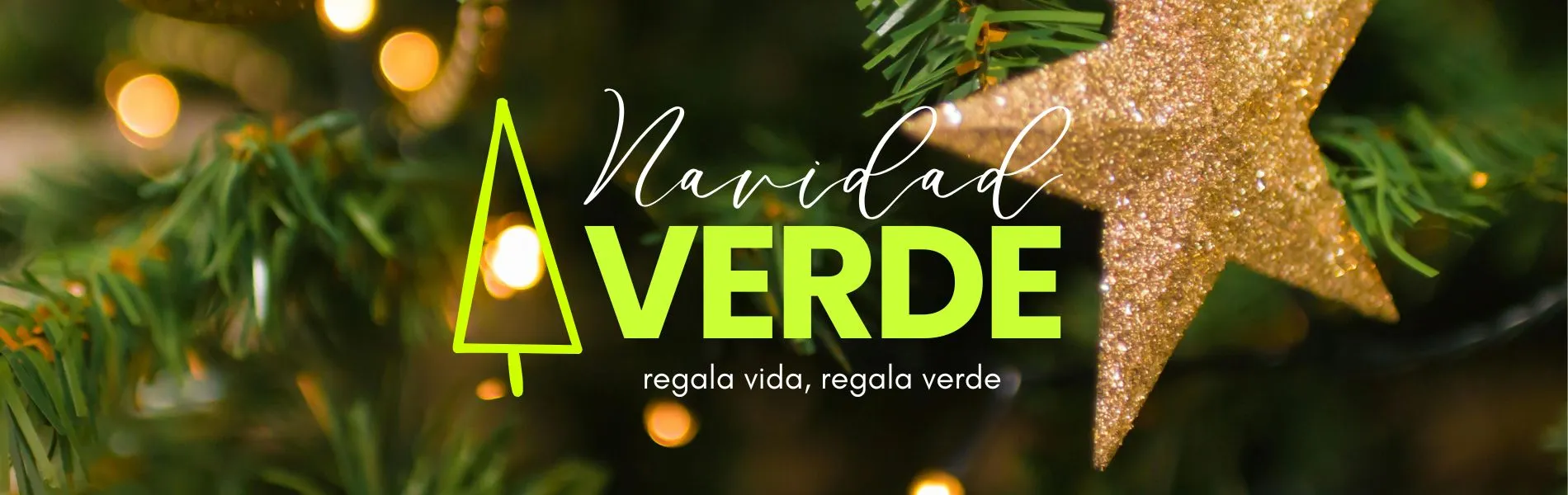 Camelia y Lavanda tu tienda online de plantas y jardín