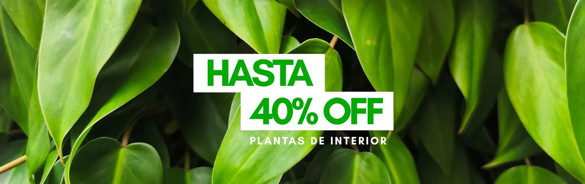 Ofertas de Otoño