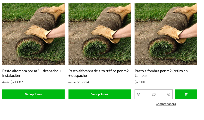 elige el servicio