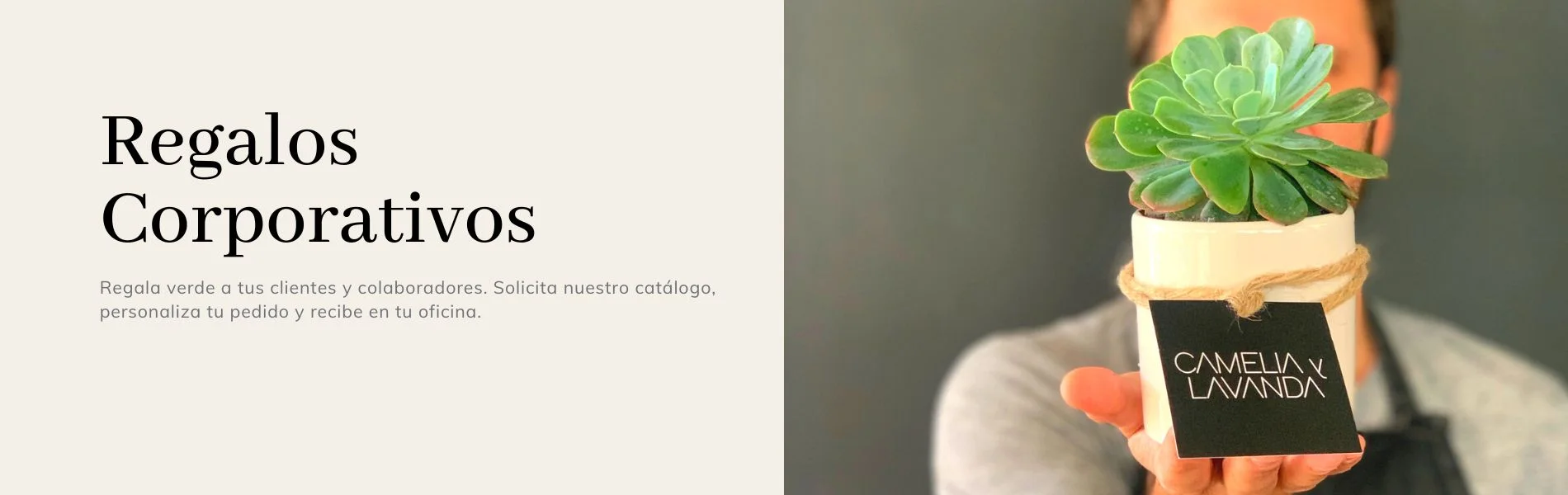Título de la Sección