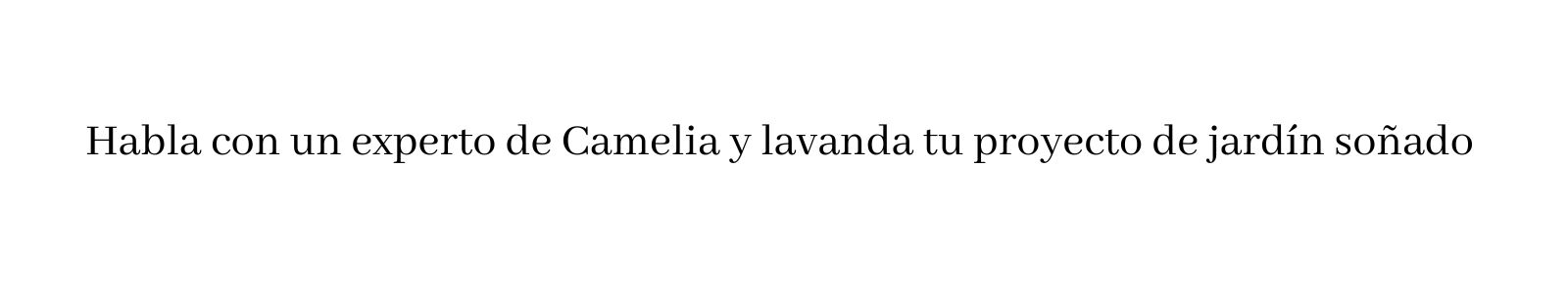 Título de la sección