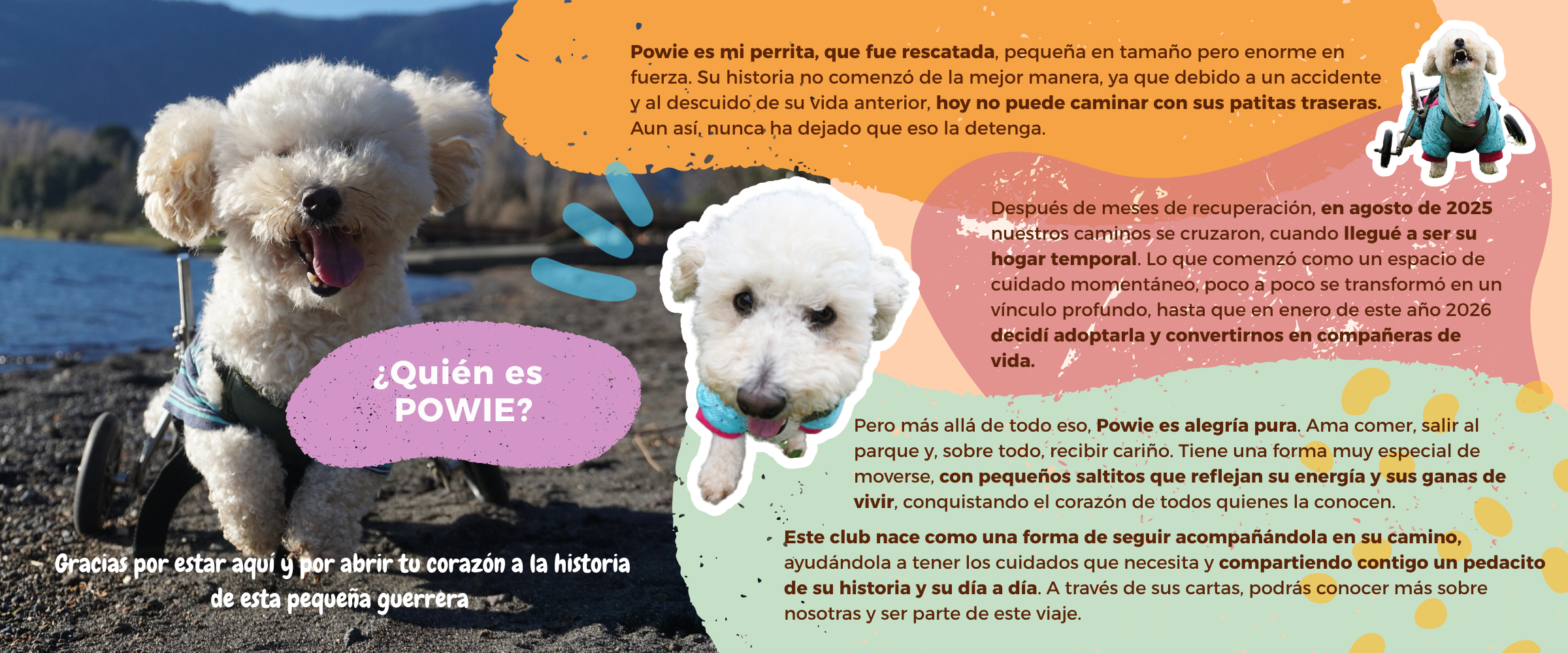 Título de la Sección