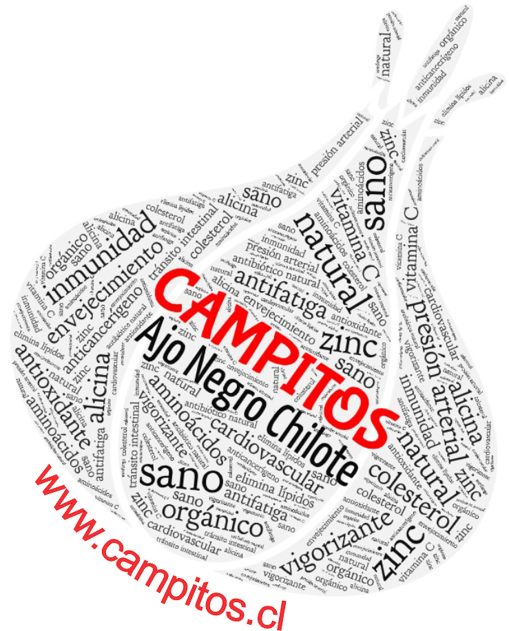 Campitos ajo negro chilote