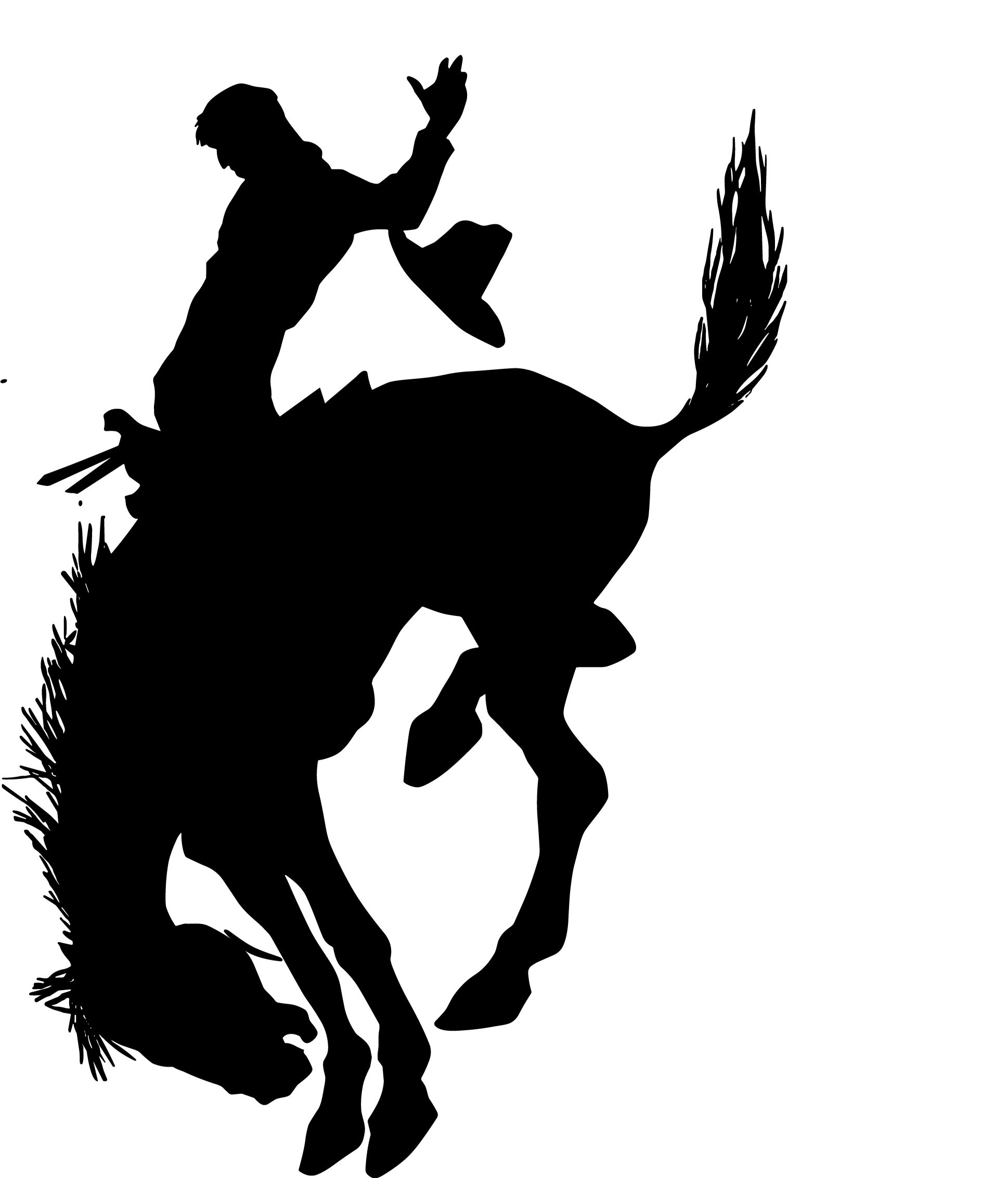 Cap.com