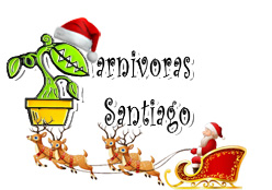 Plantas Carnívoras Santiago ( Chile )