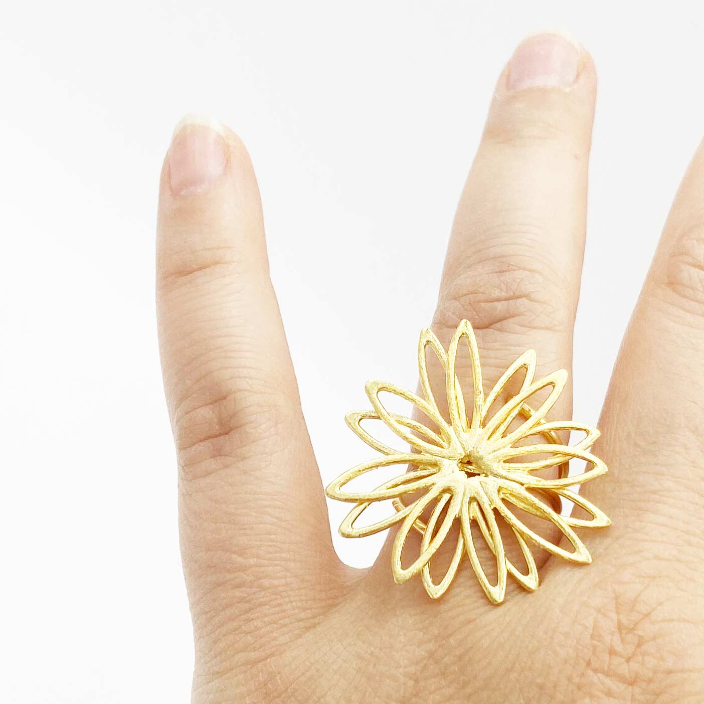 Anillo