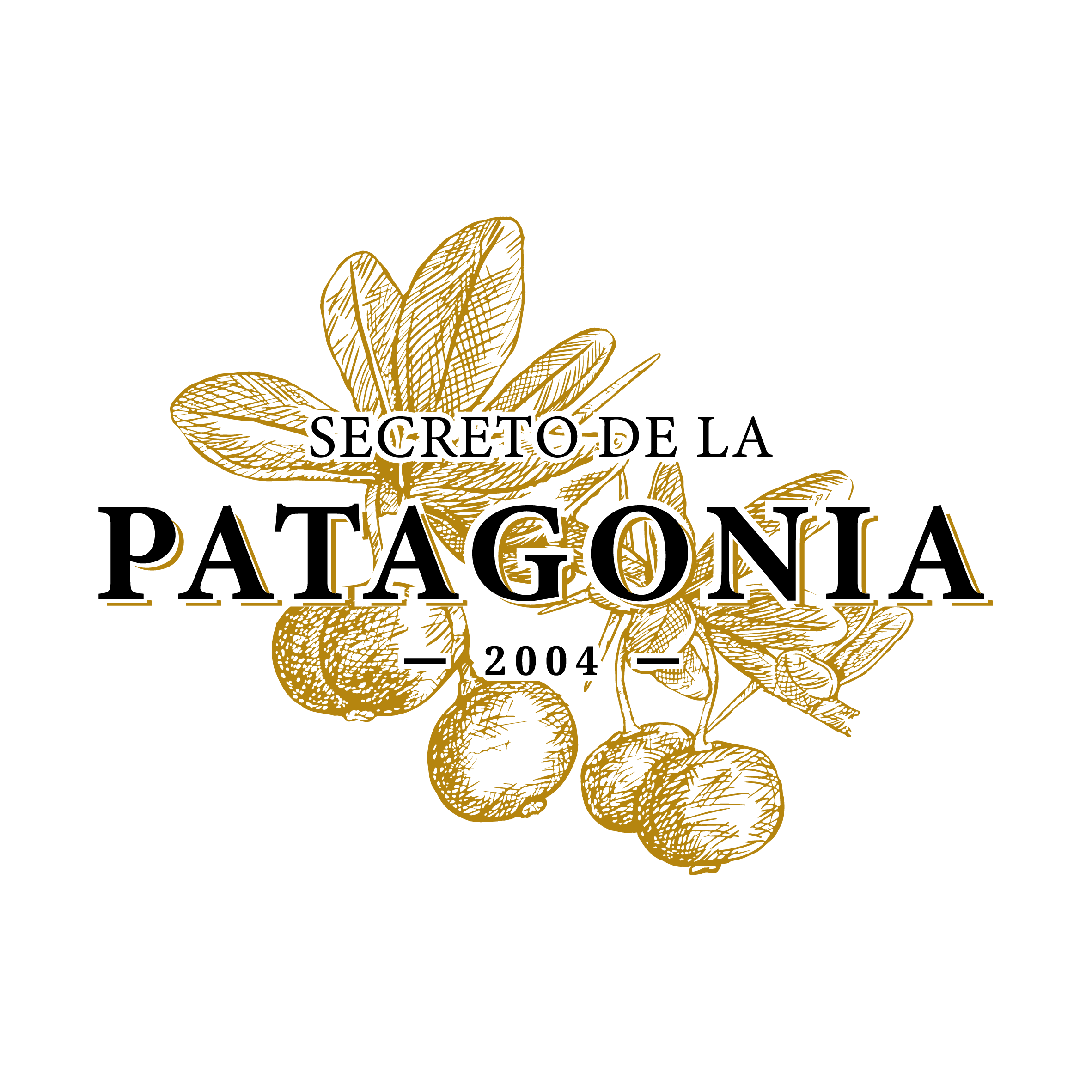 SECRETO DE LA PATAGONIA