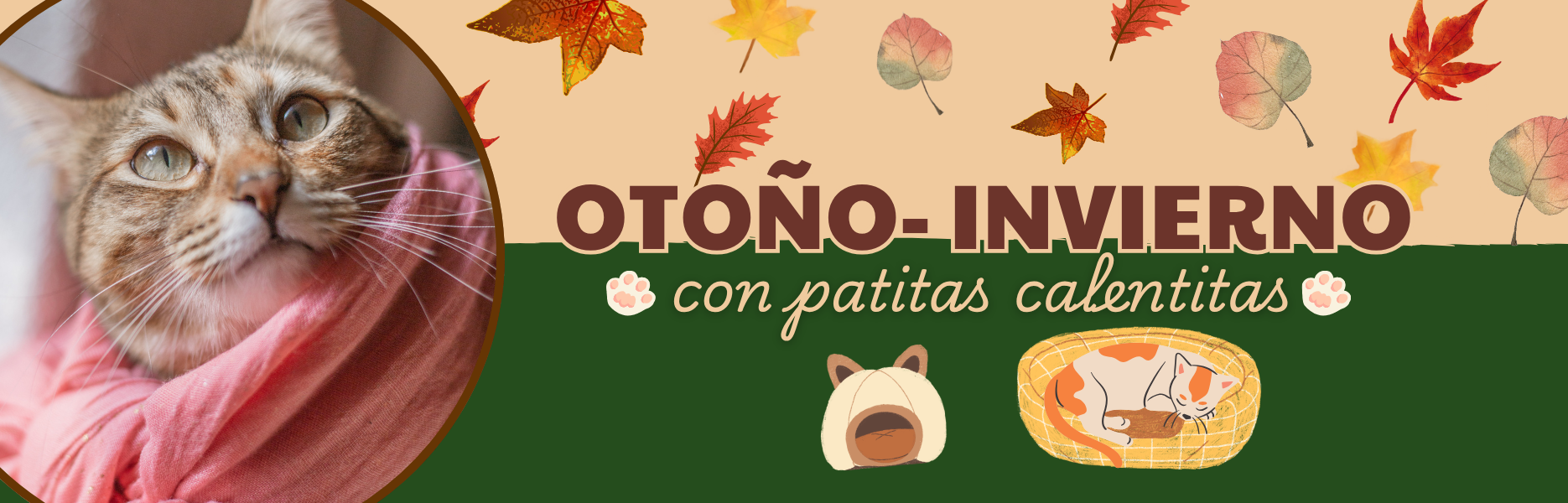banner productos para el otoño e invierno