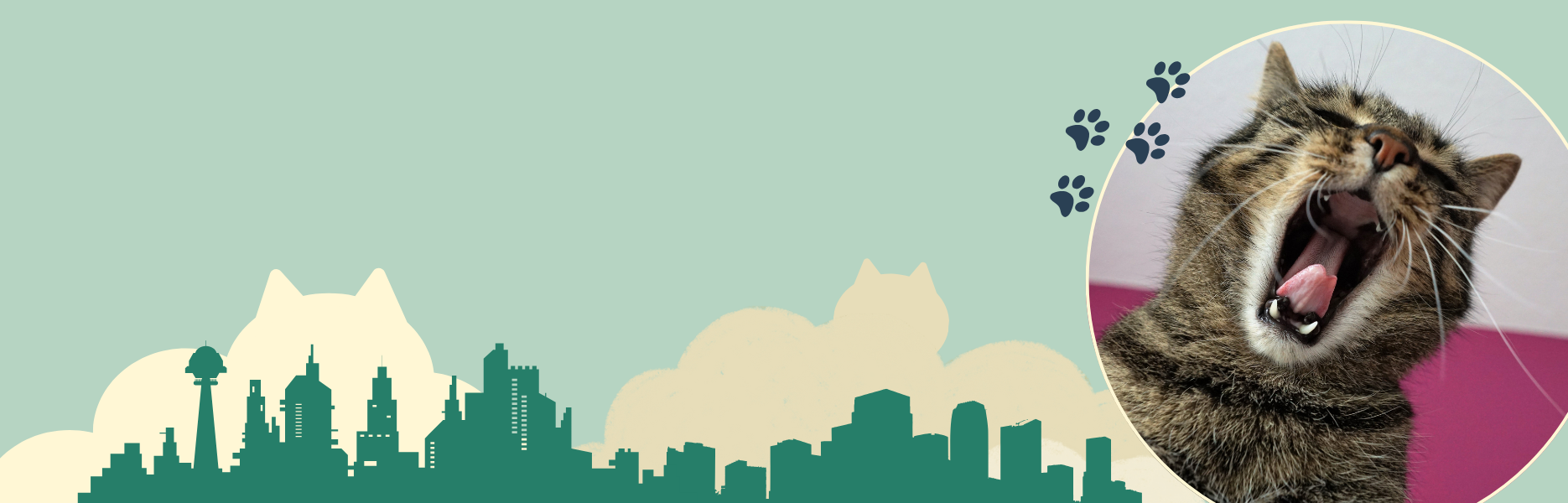 Bienvenidos a la página web de Cat Republic.<br> El lugar donde los gatos mandan<br>