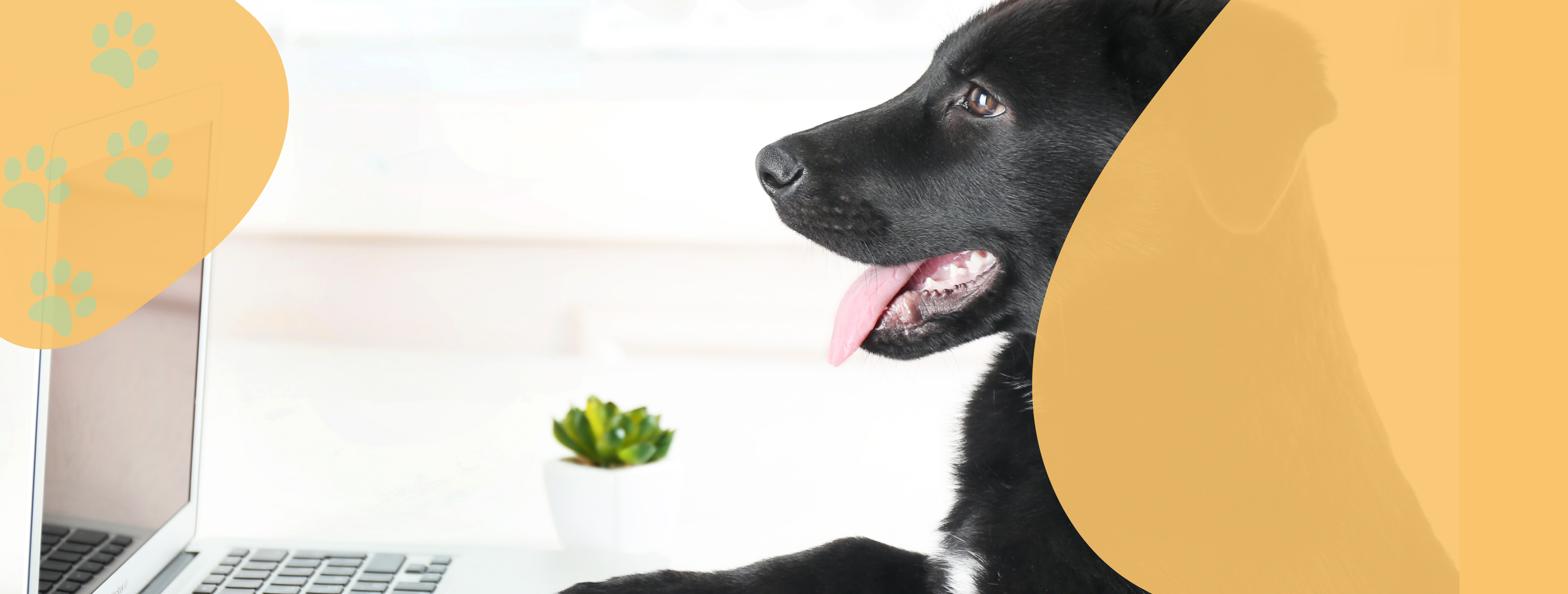 <b>TU PELUDO TAMBIÉN<br> TIENE SU CYBER</b><br>
