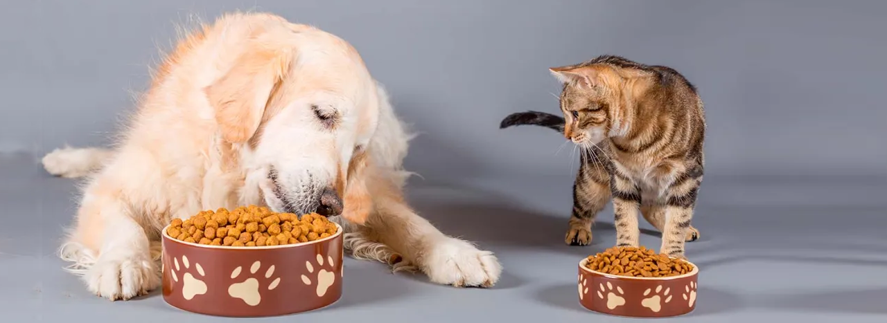 <b>SNACKS  NATURALES</b><br>
<div></div>