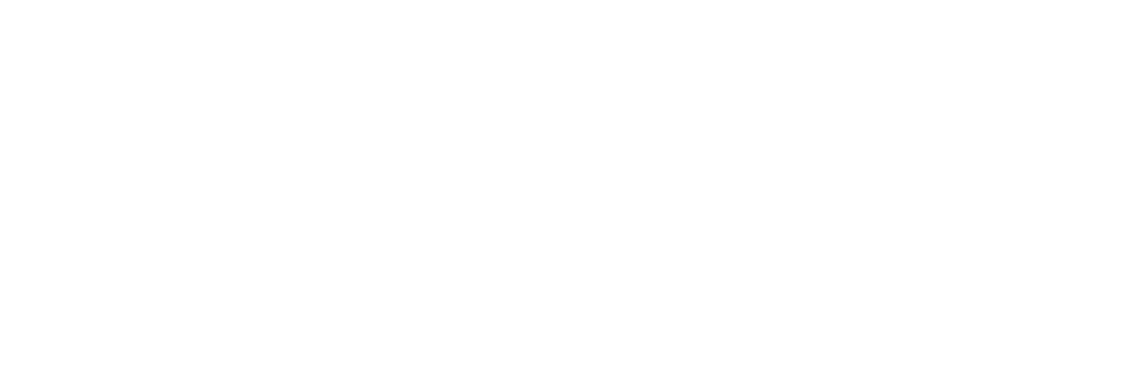 CAUTIVA TU TIENDA