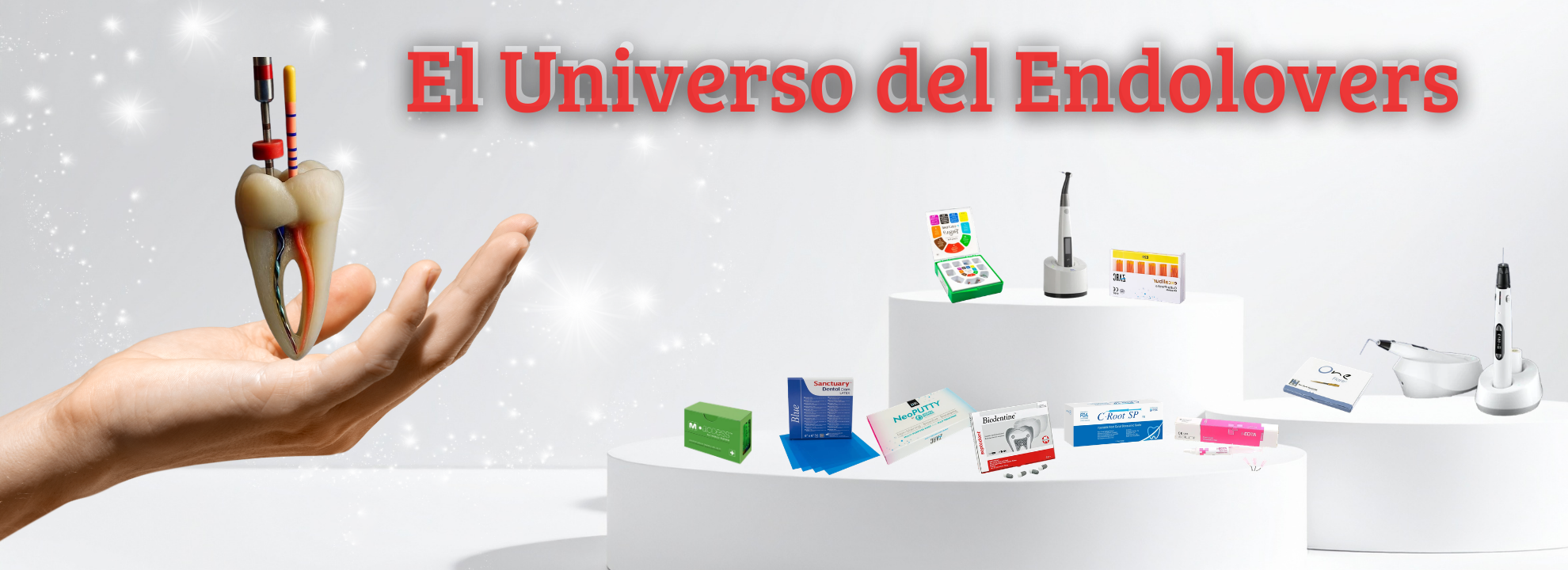 CC DENTAL CHILE