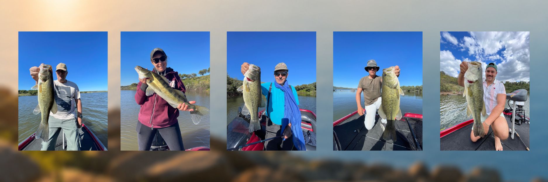 Cebolafishing