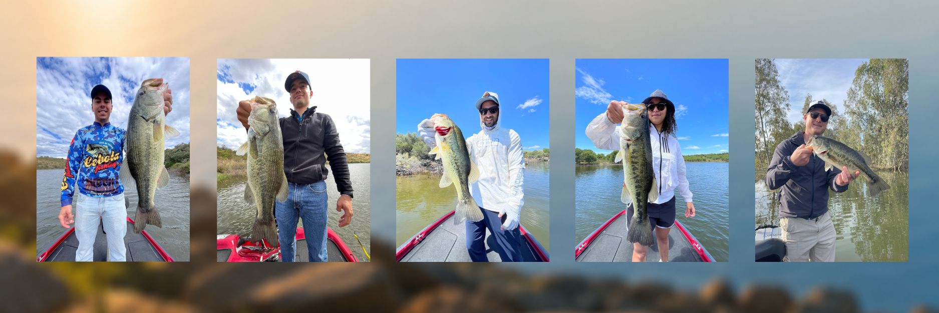 Cebolafishing