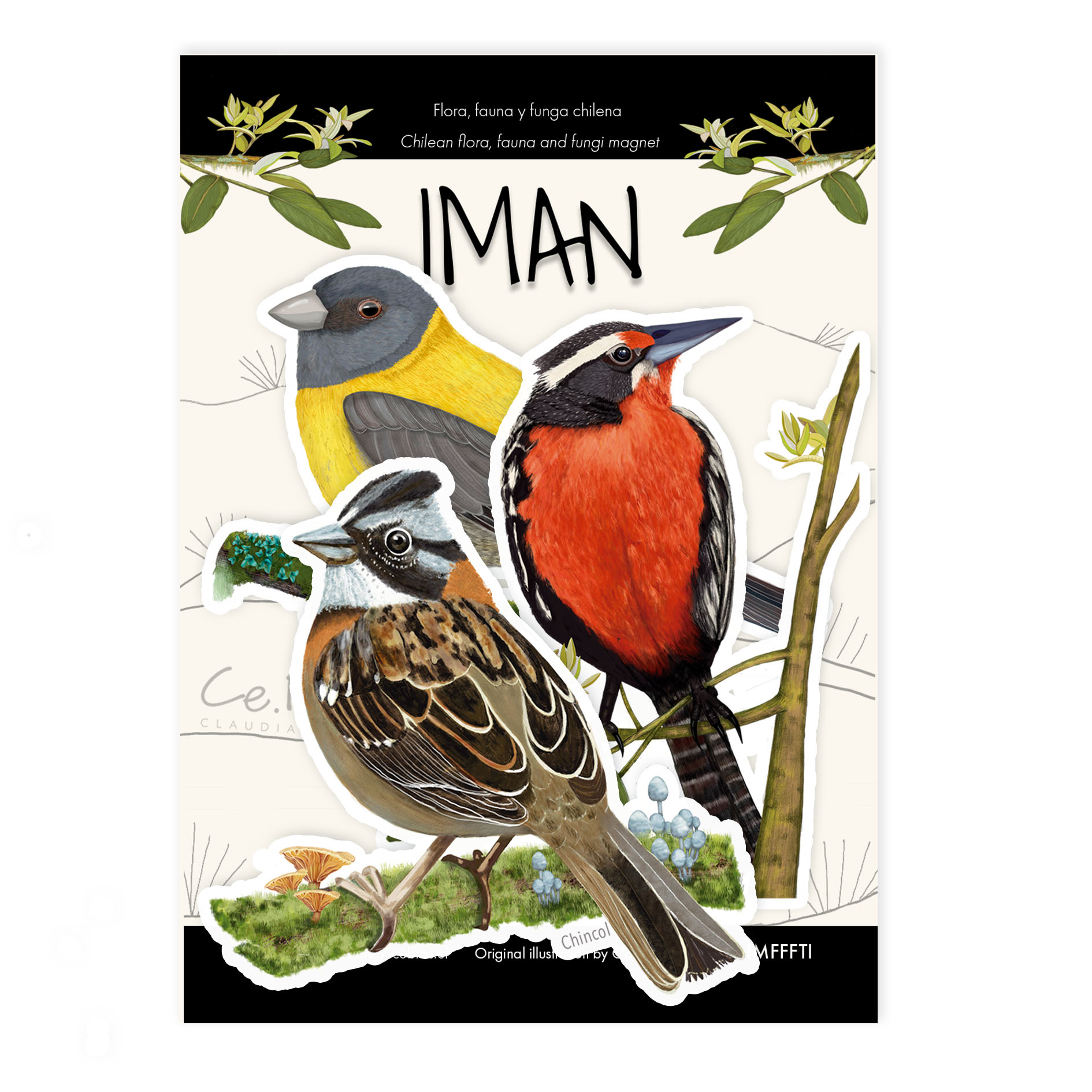 Imanes de pajaritos y fauna