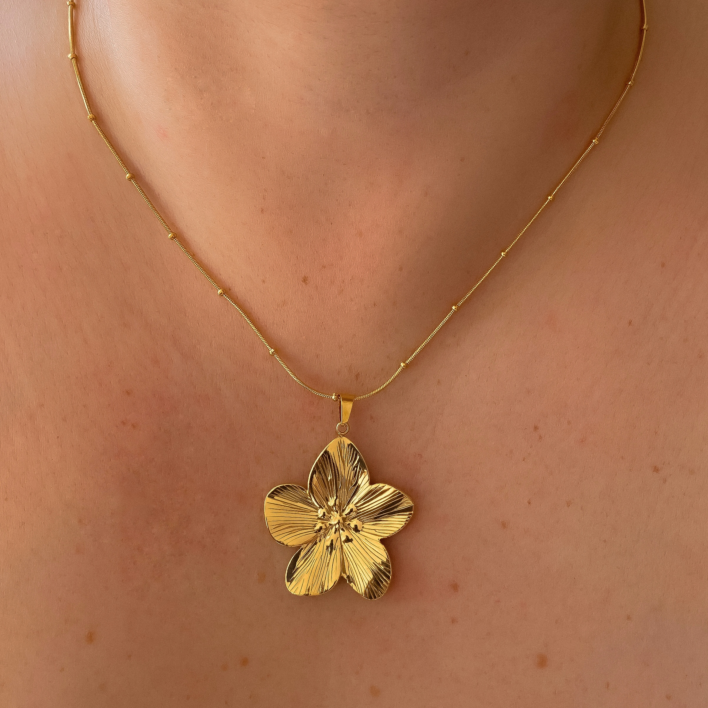 COLLARES