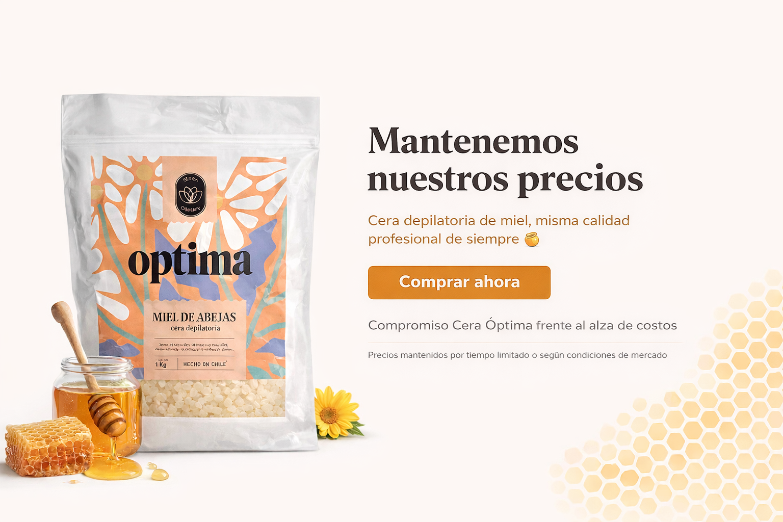 Título de la Sección