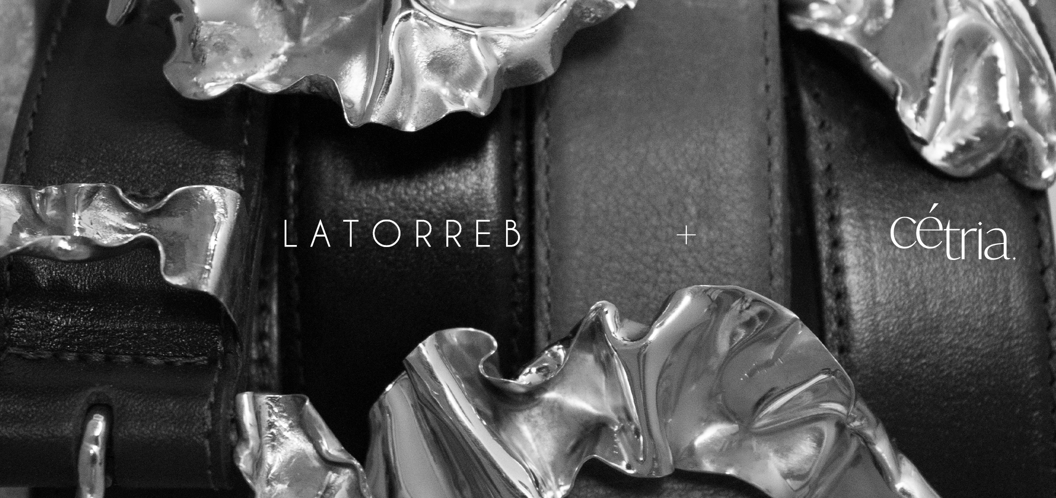 Título de la Sección