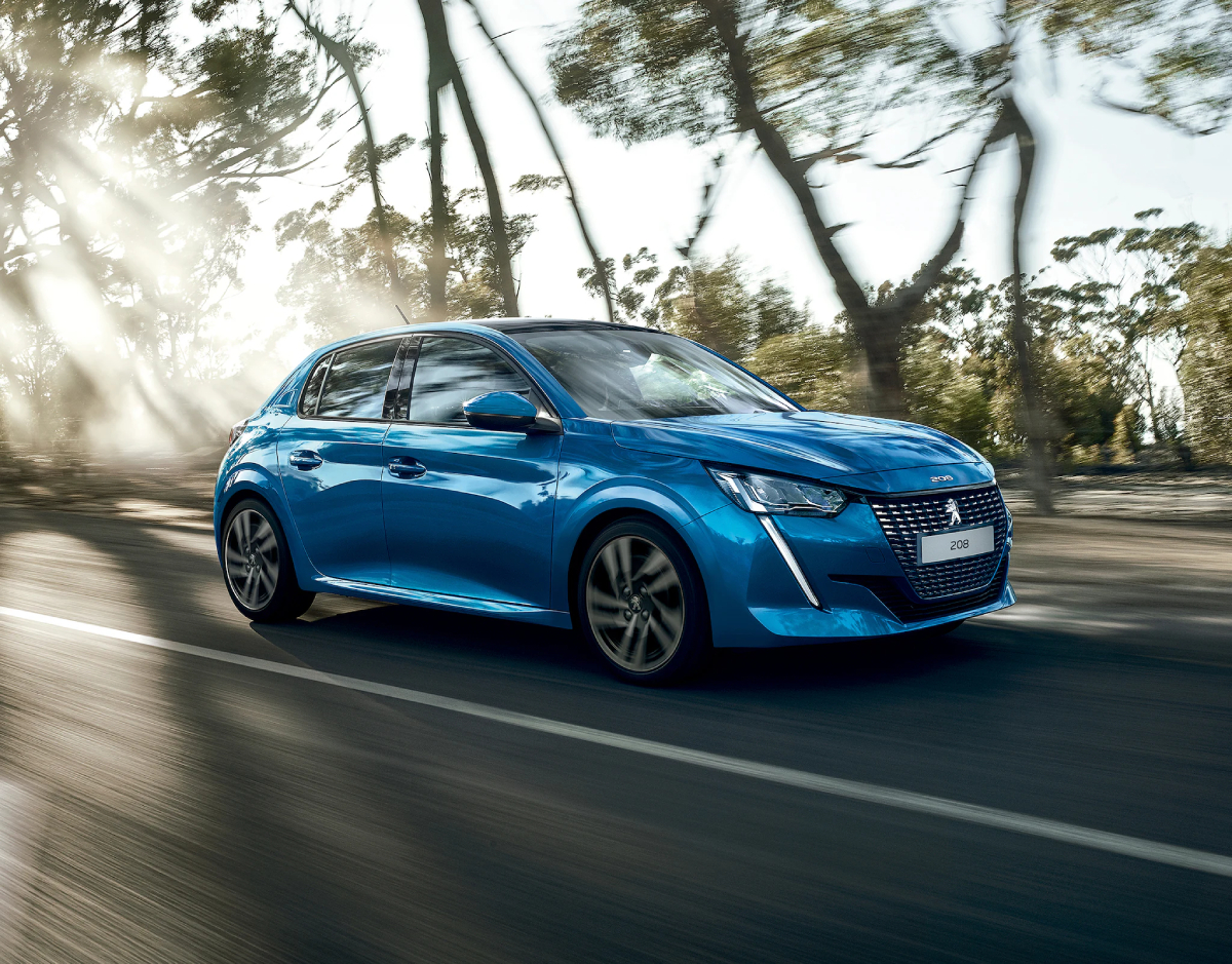  Variedad de Marcas y Modelos