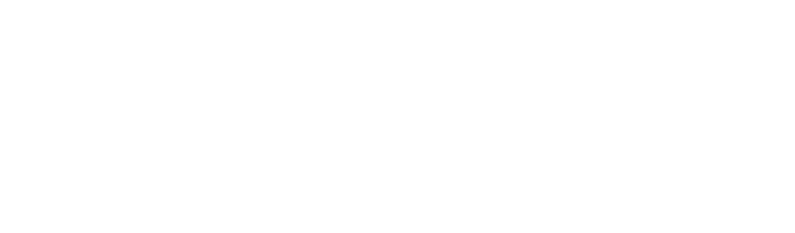 Chic Perfumes