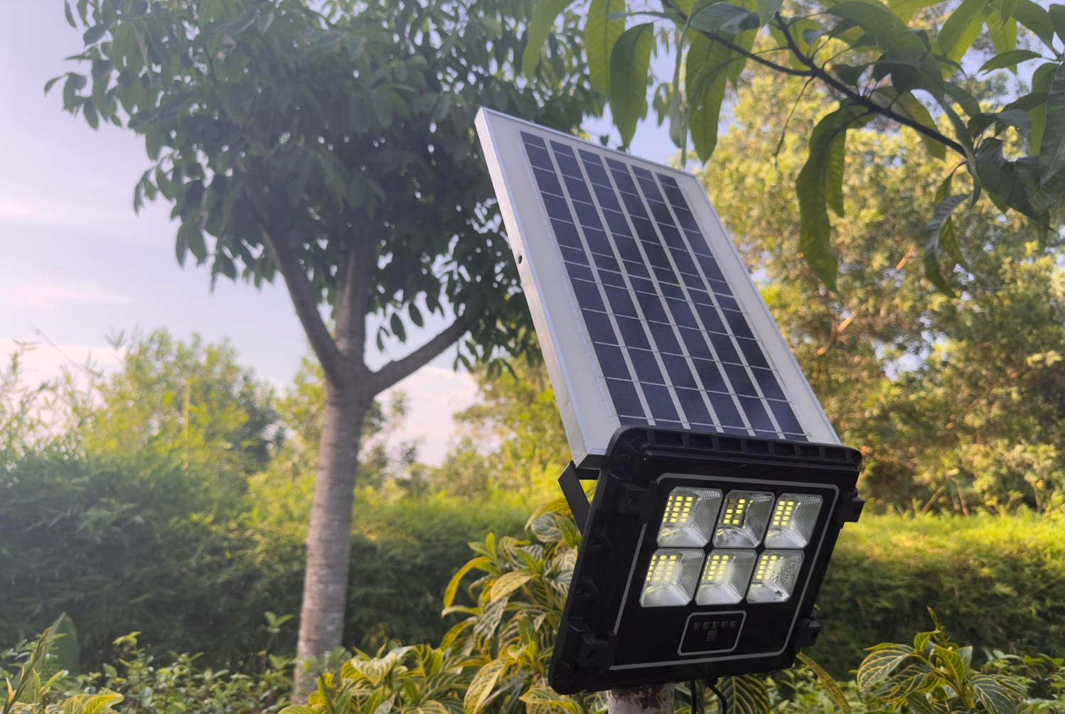 Ilumina tu mundo con energía solar