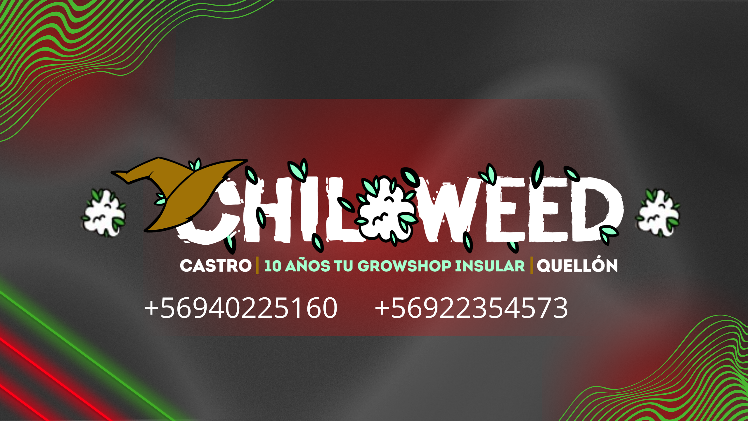 chiloweed - compra todo necesites para tus cultivos 
