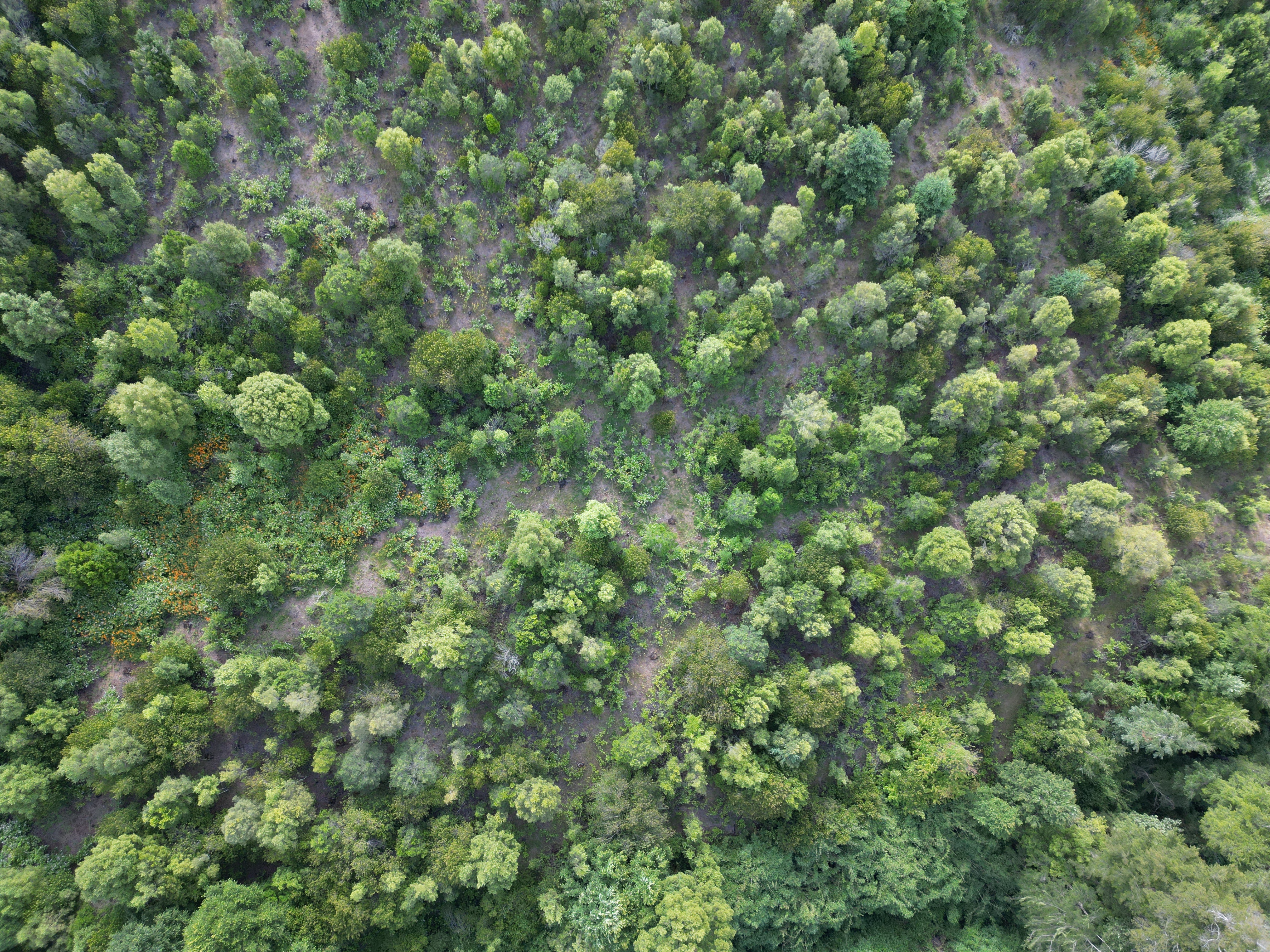 ILUSTRACIONES DIGITALES